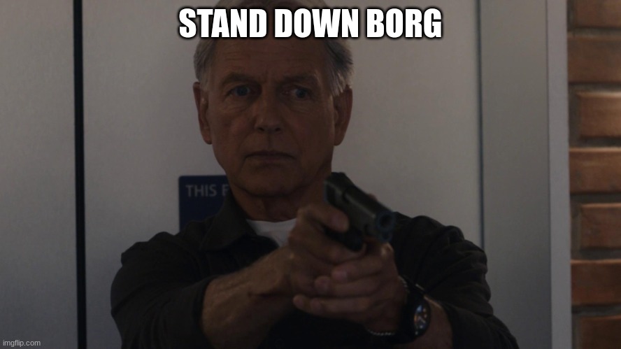 NCIS gibbs | STAND DOWN BORG | image tagged in ncis gibbs | made w/ Imgflip meme maker