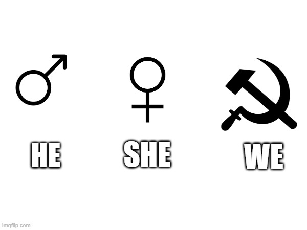 am not communist btw | WE; SHE; HE | made w/ Imgflip meme maker