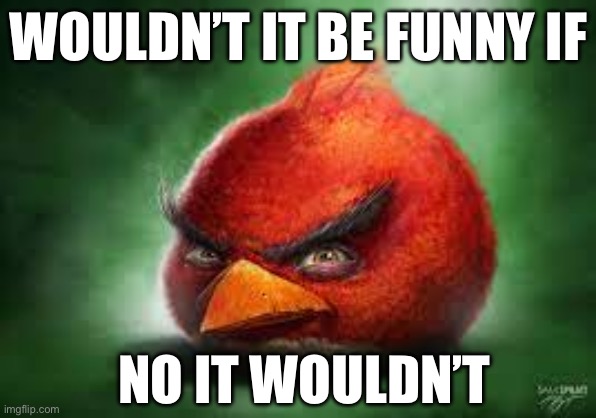 Realistic Red Angry Birds | WOULDN’T IT BE FUNNY IF; NO IT WOULDN’T | image tagged in realistic red angry birds | made w/ Imgflip meme maker
