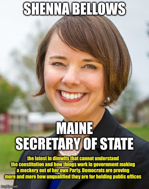 These people are not politicians. They are traitors who want to ursurp power illegally | SHENNA BELLOWS; MAINE SECRETARY OF STATE; the latest in dimwits that cannot understand the constitution and how things work in government making a mockery out of her own Party. Democrats are proving more and more how unqualified they are for holding public offices | image tagged in the real insurrection | made w/ Imgflip meme maker