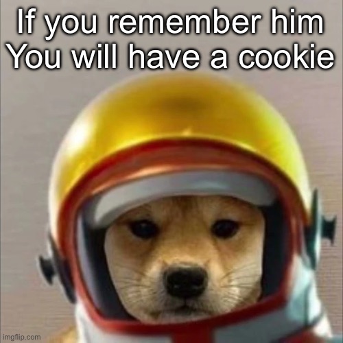Remember him | If you remember him
You will have a cookie | image tagged in skittle | made w/ Imgflip meme maker