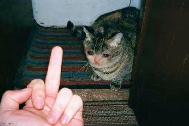 middle finger cat | image tagged in middle finger cat | made w/ Imgflip meme maker