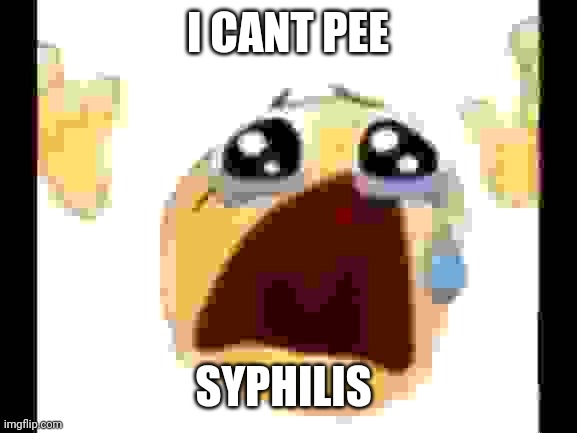 Making my own shitpost #9 | I CANT PEE; SYPHILIS | image tagged in cursed crying emoji | made w/ Imgflip meme maker
