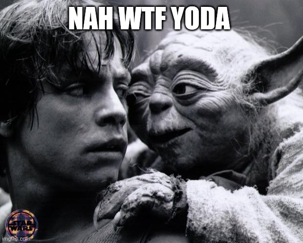 @darthswede #making my own shitpost #11 | NAH WTF YODA | image tagged in yoda luke | made w/ Imgflip meme maker