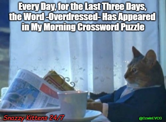 Snazzy Kittens 24/7 | Every Day, for the Last Three Days, 

the Word -Overdressed- Has Appeared 

in My Morning Crossword Puzzle; Snazzy Kittens 24/7; @OzwinEVCG | image tagged in kittens,fun with photoshop,cats,should buy a,trolling kitties,crossword puzzles | made w/ Imgflip meme maker