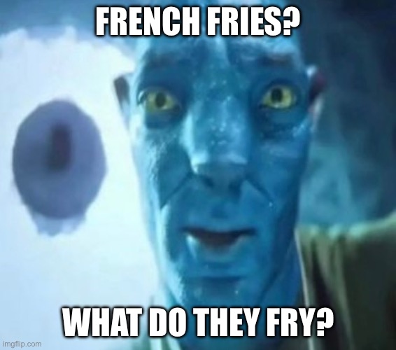 Avatar guy | FRENCH FRIES? WHAT DO THEY FRY? | image tagged in avatar guy,french fries,2023,staring avatar guy,memes | made w/ Imgflip meme maker