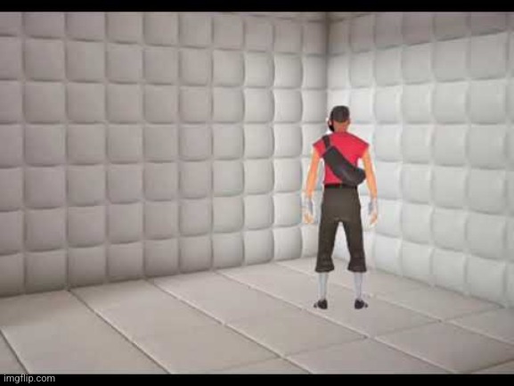 Insane Scout | image tagged in insane scout | made w/ Imgflip meme maker