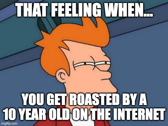 Futurama Fry Meme | THAT FEELING WHEN... YOU GET ROASTED BY A 10 YEAR OLD ON THE INTERNET | image tagged in memes,futurama fry | made w/ Imgflip meme maker