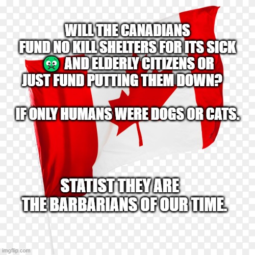 Canadian flag | WILL THE CANADIANS FUND NO KILL SHELTERS FOR ITS SICK 🤢 AND ELDERLY CITIZENS OR JUST FUND PUTTING THEM DOWN?                        
    IF ONLY HUMANS WERE DOGS OR CATS. STATIST THEY ARE       THE BARBARIANS OF OUR TIME. | image tagged in canadian flag | made w/ Imgflip meme maker