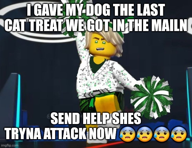 twink mfer | I GAVE MY DOG THE LAST CAT TREAT WE GOT IN THE MAILN; SEND HELP SHES TRYNA ATTACK NOW 😰😰😰😰 | image tagged in twink mfer | made w/ Imgflip meme maker