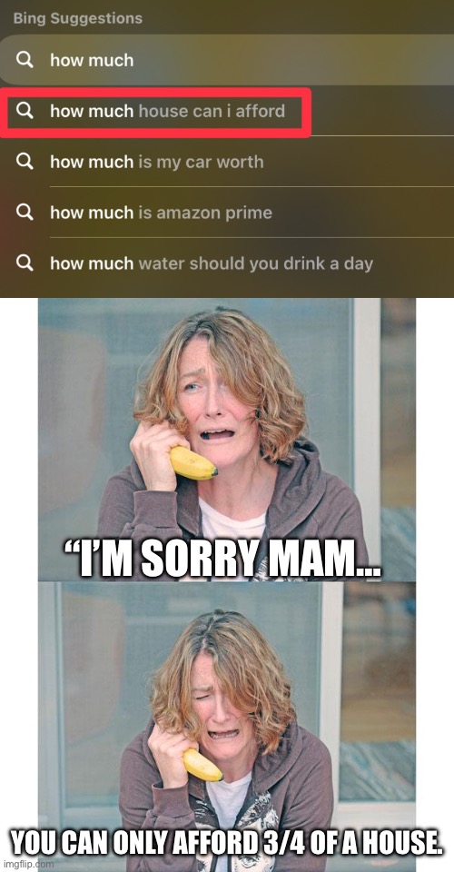Mmm had a stroke i had. | “I’M SORRY MAM…; YOU CAN ONLY AFFORD 3/4 OF A HOUSE. | image tagged in bad news banana phone | made w/ Imgflip meme maker