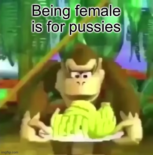 Prove me wrong | Being female is for pussies | image tagged in oh these are pretty cool x | made w/ Imgflip meme maker