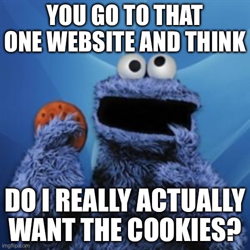 cookie monster | YOU GO TO THAT ONE WEBSITE AND THINK; DO I REALLY ACTUALLY WANT THE COOKIES? | image tagged in cookie monster | made w/ Imgflip meme maker