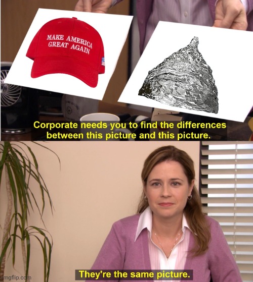 I saw someone with aluminum foil headwear, & something clicked... | image tagged in memes,they're the same picture,make america great again,cap,mental health,that moment when you realize | made w/ Imgflip meme maker
