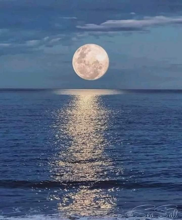 moon over ocean Blank Meme Template