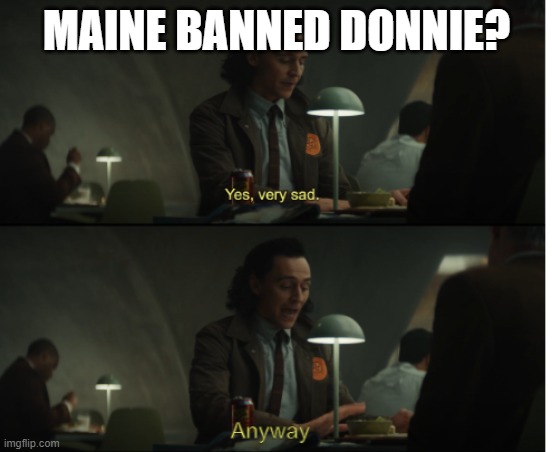 Yes, very sad. Anyway | MAINE BANNED DONNIE? | image tagged in yes very sad anyway | made w/ Imgflip meme maker