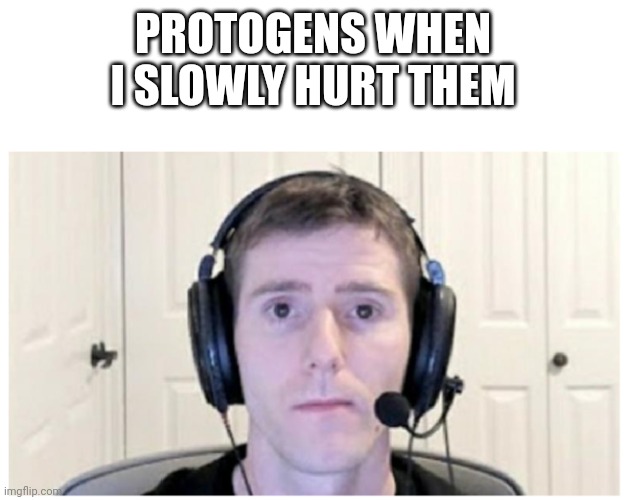 Sad Linus | PROTOGENS WHEN I SLOWLY HURT THEM | image tagged in sad linus | made w/ Imgflip meme maker