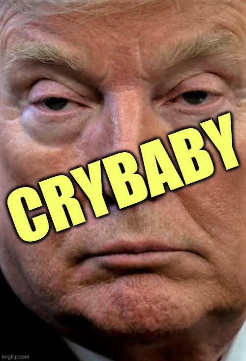 Crybaby | CRYBABY | image tagged in trump woozy dilated,trump,crybaby,toddler,cheat,fraud | made w/ Imgflip meme maker
