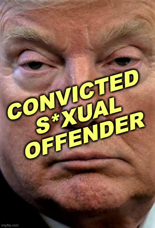 Convicted s*xual offender by a jury of his peers. | CONVICTED
S*XUAL
OFFENDER | image tagged in trump woozy dilated,trump,convict,sexual assault | made w/ Imgflip meme maker