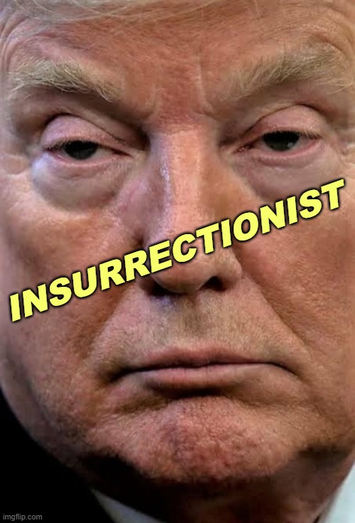 Insurrectionist | INSURRECTIONIST | image tagged in trump woozy dilated,trump,insurrection,revolution | made w/ Imgflip meme maker