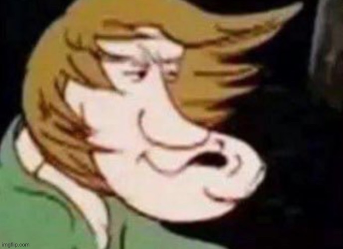 Dank Shaggy | image tagged in dank shaggy | made w/ Imgflip meme maker