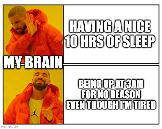 I'm sleepy, in my own bed, already drank water and ate. So why tf am I still awake? | HAVING A NICE 10 HRS OF SLEEP; MY BRAIN; BEING UP AT 3AM FOR NO REASON EVEN THOUGH I'M TIRED | image tagged in no - yes,memes | made w/ Imgflip meme maker