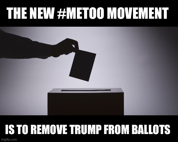 They follow each other like sheep | THE NEW #METOO MOVEMENT; IS TO REMOVE TRUMP FROM BALLOTS | image tagged in ballot | made w/ Imgflip meme maker