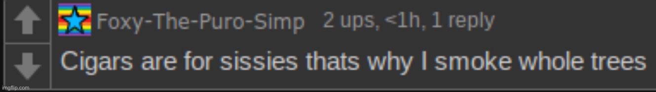 Cigars are for sissies, that's why i smoke whole trees | image tagged in cigars are for sissies that's why i smoke whole trees | made w/ Imgflip meme maker