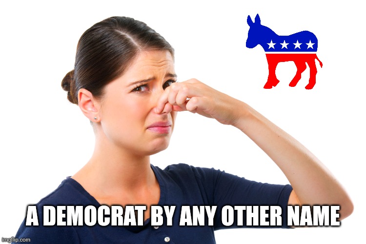 woman holding her nose | A DEMOCRAT BY ANY OTHER NAME | image tagged in woman holding her nose | made w/ Imgflip meme maker