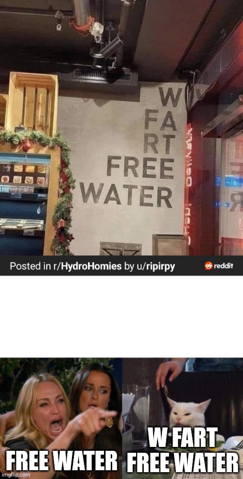 W FART FREE WATER; FREE WATER | image tagged in two woman yelling at a cat | made w/ Imgflip meme maker