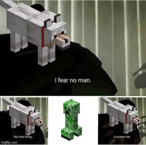 Wolves are too scared to attack creepers | image tagged in i fear no man | made w/ Imgflip meme maker