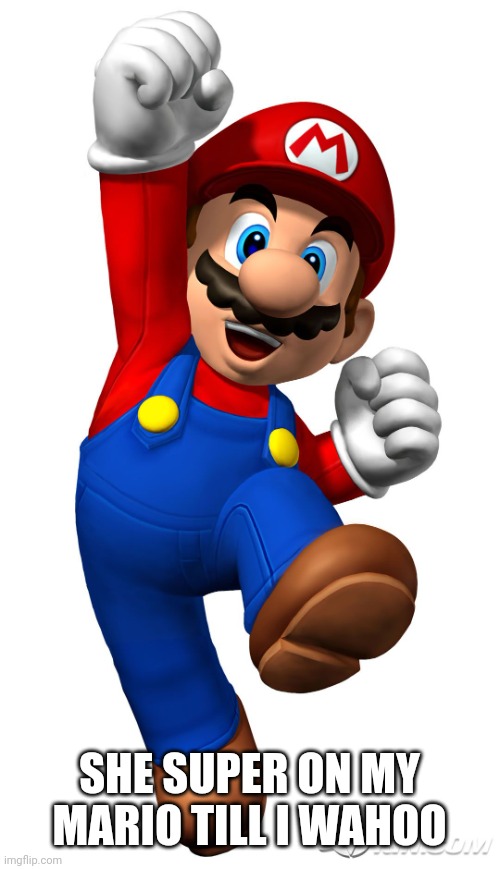 Ik | SHE SUPER ON MY MARIO TILL I WAHOO | image tagged in super mario | made w/ Imgflip meme maker