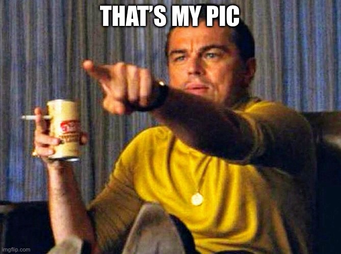 Leonardo Dicaprio pointing at tv | THAT’S MY PIC | image tagged in leonardo dicaprio pointing at tv | made w/ Imgflip meme maker