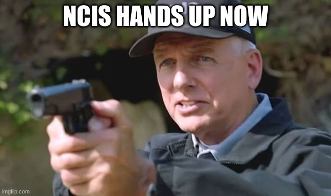 NCIS gibbs | NCIS HANDS UP NOW | image tagged in ncis gibbs | made w/ Imgflip meme maker