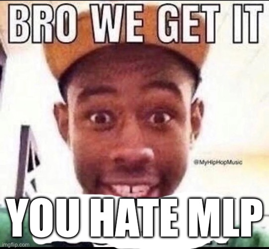 BRO WE GET IT YOU'RE GAY | YOU HATE MLP | image tagged in bro we get it you're gay | made w/ Imgflip meme maker