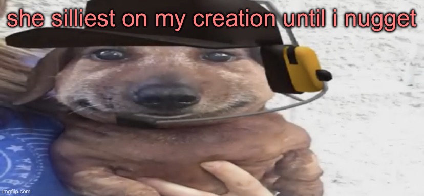 yeah this one isn’t that good | she silliest on my creation until i nugget | image tagged in chucklenuts | made w/ Imgflip meme maker