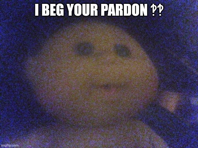 Catfish:the tv show ,, cabbagepatch oldtimer | I BEG YOUR PARDON ‽‽ | image tagged in catfish,cabbage | made w/ Imgflip meme maker