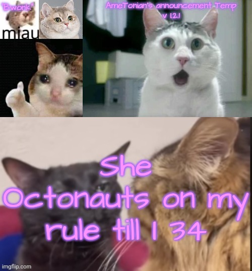 I LOVE OCTONAUTS R3- | She Octonauts on my rule till I 34 | image tagged in ametonian's announcement temp v 1 2 1 | made w/ Imgflip meme maker