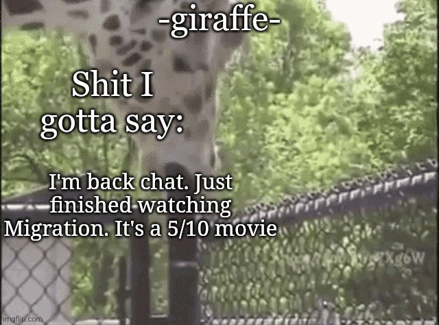 the parrot is the best character | I'm back chat. Just finished watching Migration. It's a 5/10 movie | image tagged in -giraffe- | made w/ Imgflip meme maker