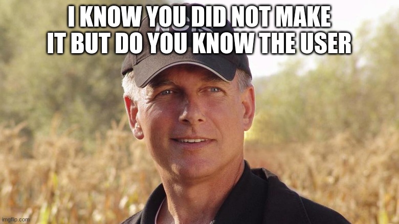 gibbs NCIS | I KNOW YOU DID NOT MAKE IT BUT DO YOU KNOW THE USER | image tagged in gibbs ncis | made w/ Imgflip meme maker