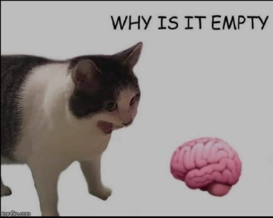 why is it empty? | image tagged in why is it empty | made w/ Imgflip meme maker