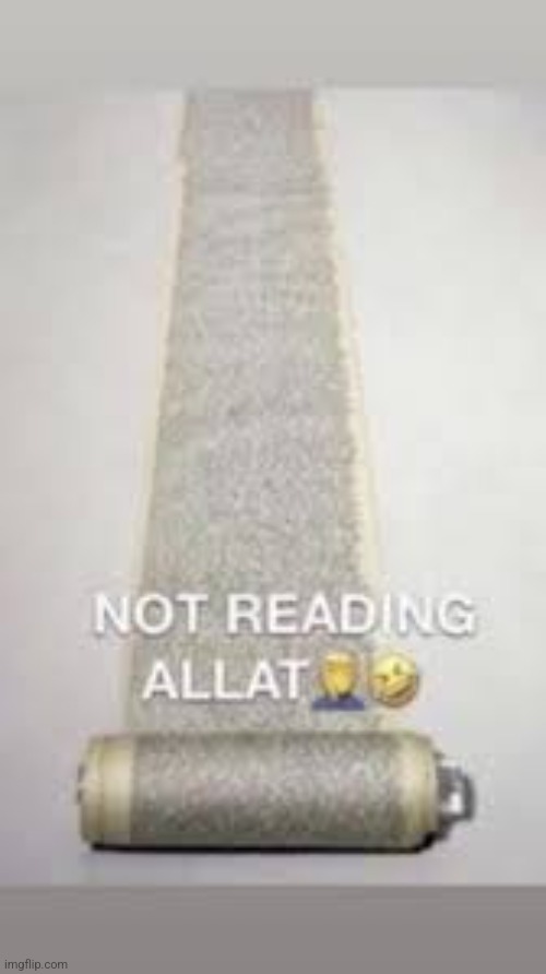 not reading allat | image tagged in not reading allat | made w/ Imgflip meme maker