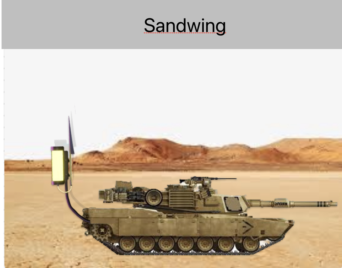 Sandwings in a nutshell Blank Meme Template