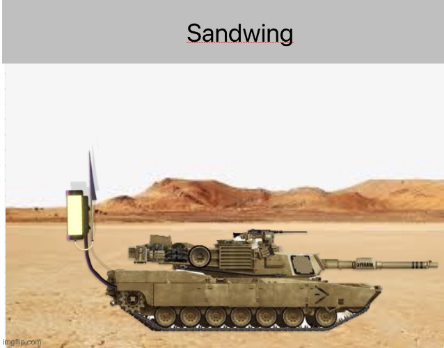 Sandwings in a nutshell | image tagged in sandwings in a nutshell | made w/ Imgflip meme maker