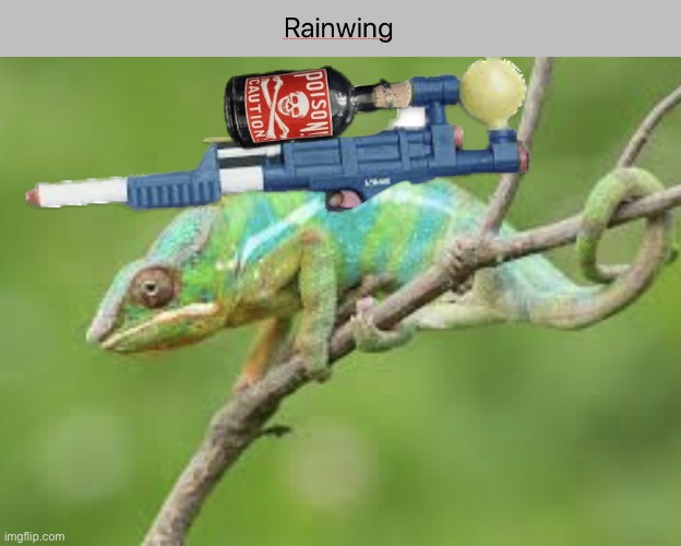 Rainwings in a nutshell | image tagged in rainwings in a nutshell | made w/ Imgflip meme maker