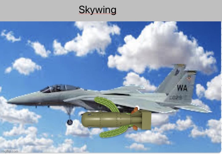 Skywings in a nutshell | image tagged in skywings in a nutshell | made w/ Imgflip meme maker