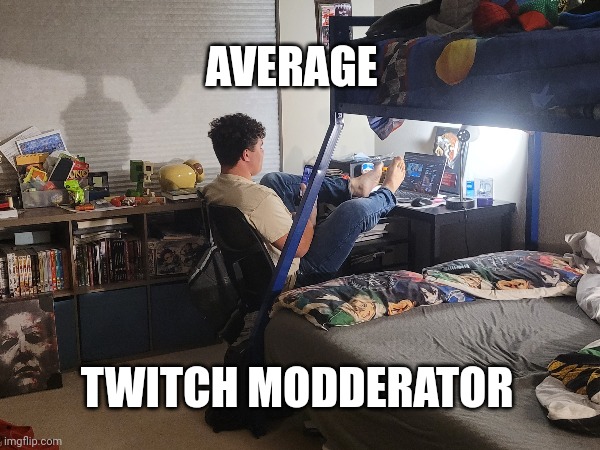 The average moderator | AVERAGE; TWITCH MODDERATOR | image tagged in lol so funny | made w/ Imgflip meme maker