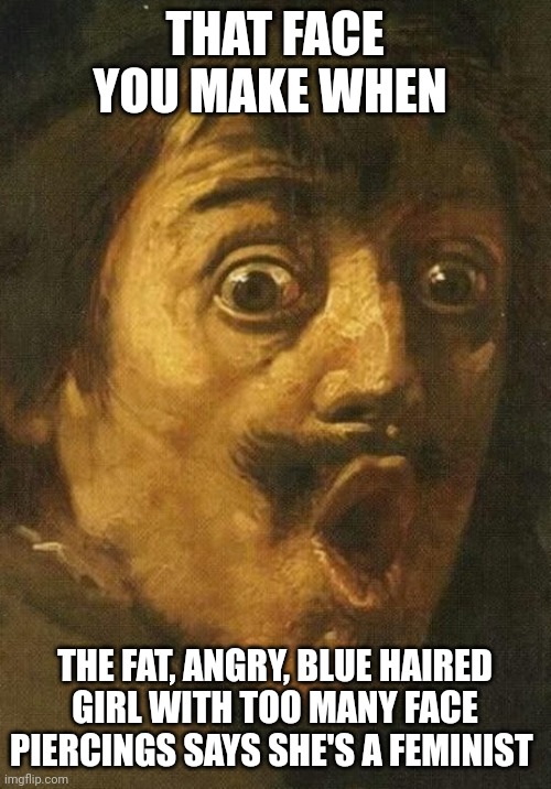 You can't judge a book by it's... Nevermind | THAT FACE YOU MAKE WHEN; THE FAT, ANGRY, BLUE HAIRED GIRL WITH TOO MANY FACE PIERCINGS SAYS SHE'S A FEMINIST | image tagged in shocked face - classic art | made w/ Imgflip meme maker