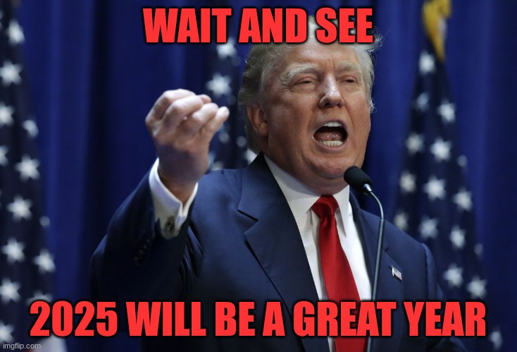 Trump | WAIT AND SEE; 2025 WILL BE A GREAT YEAR | image tagged in trump,politics | made w/ Imgflip meme maker