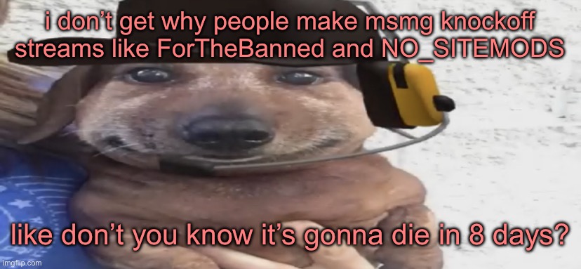 chucklenuts | i don’t get why people make msmg knockoff streams like ForTheBanned and NO_SITEMODS; like don’t you know it’s gonna die in 8 days? | image tagged in chucklenuts | made w/ Imgflip meme maker